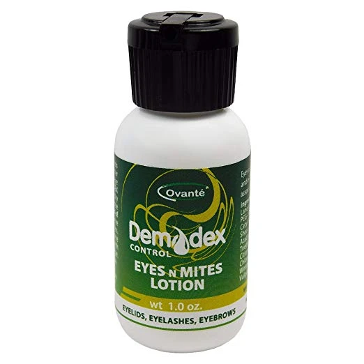 Seborrheic dermatitis eyelids